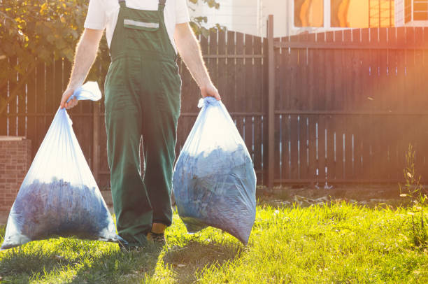 Attic Cleanout Services in West Sharyland, TX
